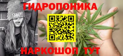 спиды Долгопрудный