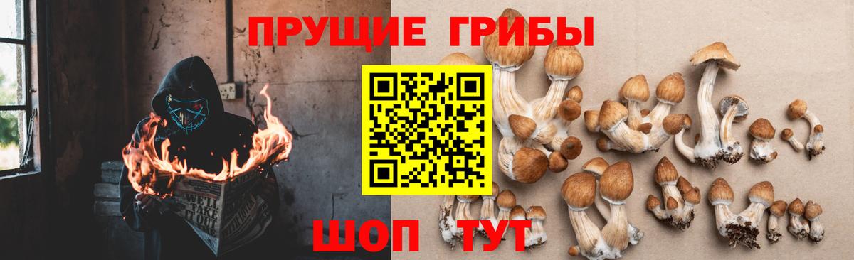 Ртищево  Галлюциногенные грибы Magic Shrooms  Вход с VPN 